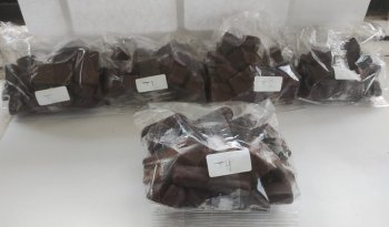 Productores de Chiapas se capacitan en elaboración de chocolate artesanal con apoyo del INIFAP