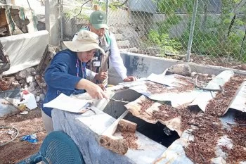 Baja California Sur reporta 167 casos de dengue en 2026; Salud intensifica acciones