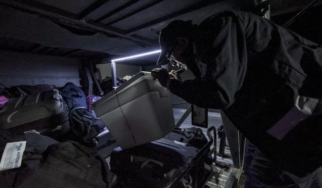 Más de mil 400 oficiales y 70 canes vigilarán puntos de ingreso en vacaciones contra plagas