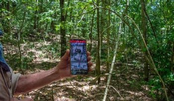 El Yesal: la enorme ciudad maya oculta en la Reserva de la Biosfera Balam Kú