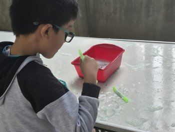 Guanajuato ofrece cursos de verano gratuitos en bibliotecas y centros culturales