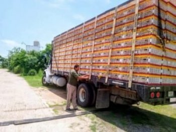 Sagadegro refuerza vigilancia sanitaria en Punto de Verificación de la Costa Chica