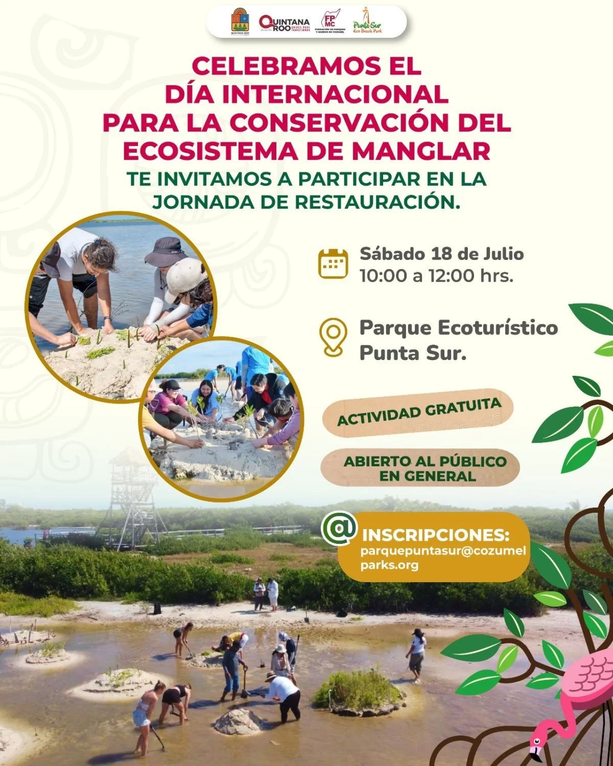 FPMC invita a comunidad a restaurar manglar en Punta Sur este 18 de julio