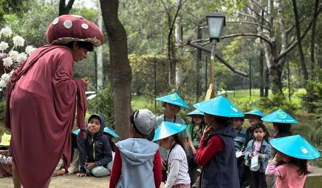 Exploradores del bosque: experiencia de verano para niñas, niños y adolescentes en Chapultepec