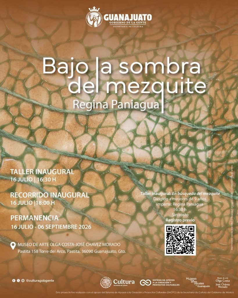 Exposición de Regina Paniagua explora el mezquite en el Museo Olga Costa
