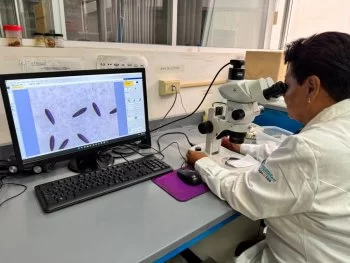 Aguascalientes libera mosquitos con bacteria Wolbachia para combatir el dengue