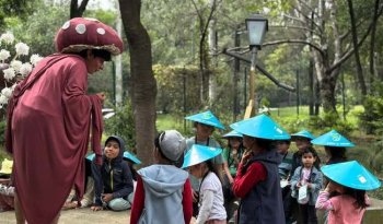 Exploradores del bosque: experiencia de verano para niñas, niños y adolescentes en Chapultepec