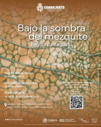 Exposición de Regina Paniagua explora el mezquite en el Museo Olga Costa