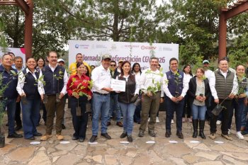 Reforestación en Querétaro: 208 mil árboles sembrados en campaña estatal