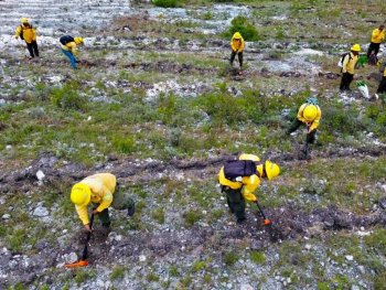 Gobernador de Oaxaca encabeza mega tequio para reforestar 77 hectáreas en la Mixteca