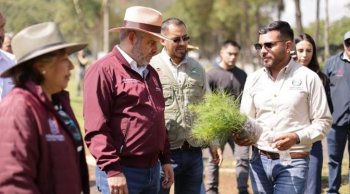 Michoacán alcanzará récord de 50 millones de árboles reforestados en 2026: Bedolla
