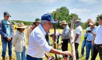 Capacitan a personal de CONAFOR en sistemas agroforestales pecuarios en Chiapas