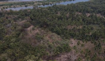 Registran dos sitios arqueológicos del siglo XVI en la Costa Grande de Guerrero