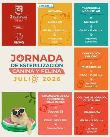 SSZ esterilizará gratuitamente perros y gatos en cuatro municipios de Zacatecas