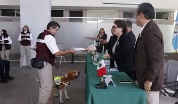 Senasica entrena a perros rescatados y oficiales de RD y Belice para proteger la región