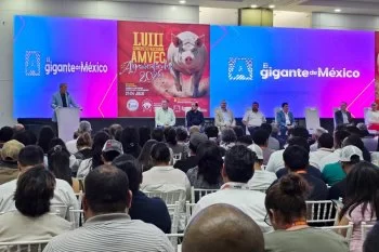 Aguascalientes es sede del 58º Congreso Nacional de AMVEC, referente en salud porcina