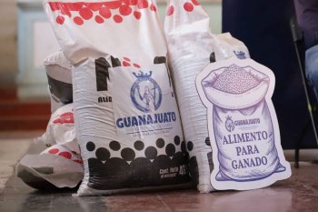 Gobierno de Guanajuato entrega apoyos por 2.03 mdp a productores de Xichú