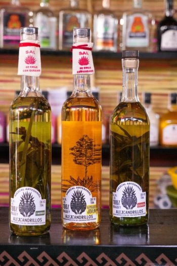 Inicia la Gran Fiesta del Mezcal en Santiago Matatlán, Oaxaca
