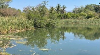 Áreas naturales protegidas de Michoacán, opción de turismo ecológico este verano