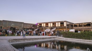 Arranca la primera Real Vendimia Flamenco-Ibérica en Viñedos El Sueño de Querétaro