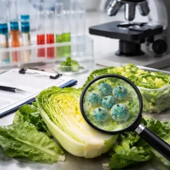 Brote de ciclosporiasis en Estados Unidos sin vínculo concluyente con lechuga mexicana