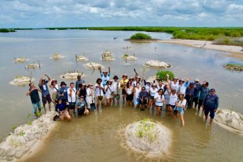 FPMC conmemora Día de Manglares con restauración y meditación en Punta Sur