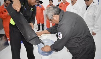 México libera primeras 2.5 millones de moscas estériles contra gusano barrenador del ganado en Chihuahua