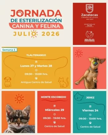 Ofrece Gobierno de Zacatecas cirugías de esterilización gratuitas en tres municipios