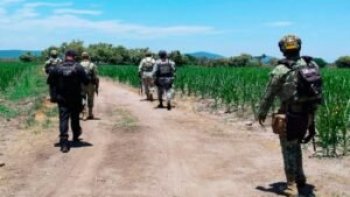 Refuerzan seguridad en Pilcaya con operativos conjuntos de Policía, Ejército y Guardia Nacional