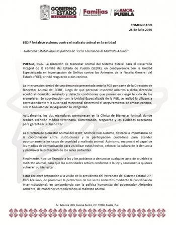 SEDIF rescata a dos caninos en riesgo; refuerza política de cero tolerancia al maltrato animal