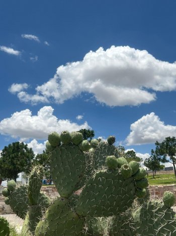 Zacatecas mantiene alerta por lluvias; llaman a prevención y monitoreo de presas