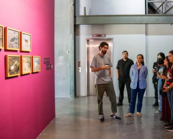Encuentro de Artes Visuales 2025: arte, política y ecología en Nuevo León