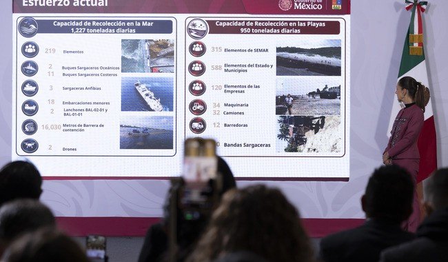 Gobierno de México invierte 2 mil mdp en estrategia integral contra el sargazo en Quintana Roo