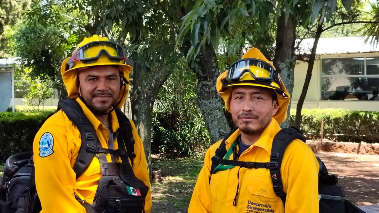 Reducen incendios en Puebla de 13,364 a 6,000 hectáreas; Canadá pide apoyo de brigadistas