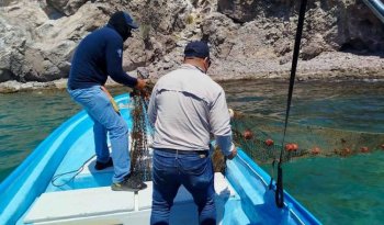 Conapesca asegura 462 mil kilos de pesca ilegal en 19 estados durante junio de 2026