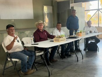 Gobierno de BCS impulsa comercialización del higo blanco del Valle del Vizcaíno