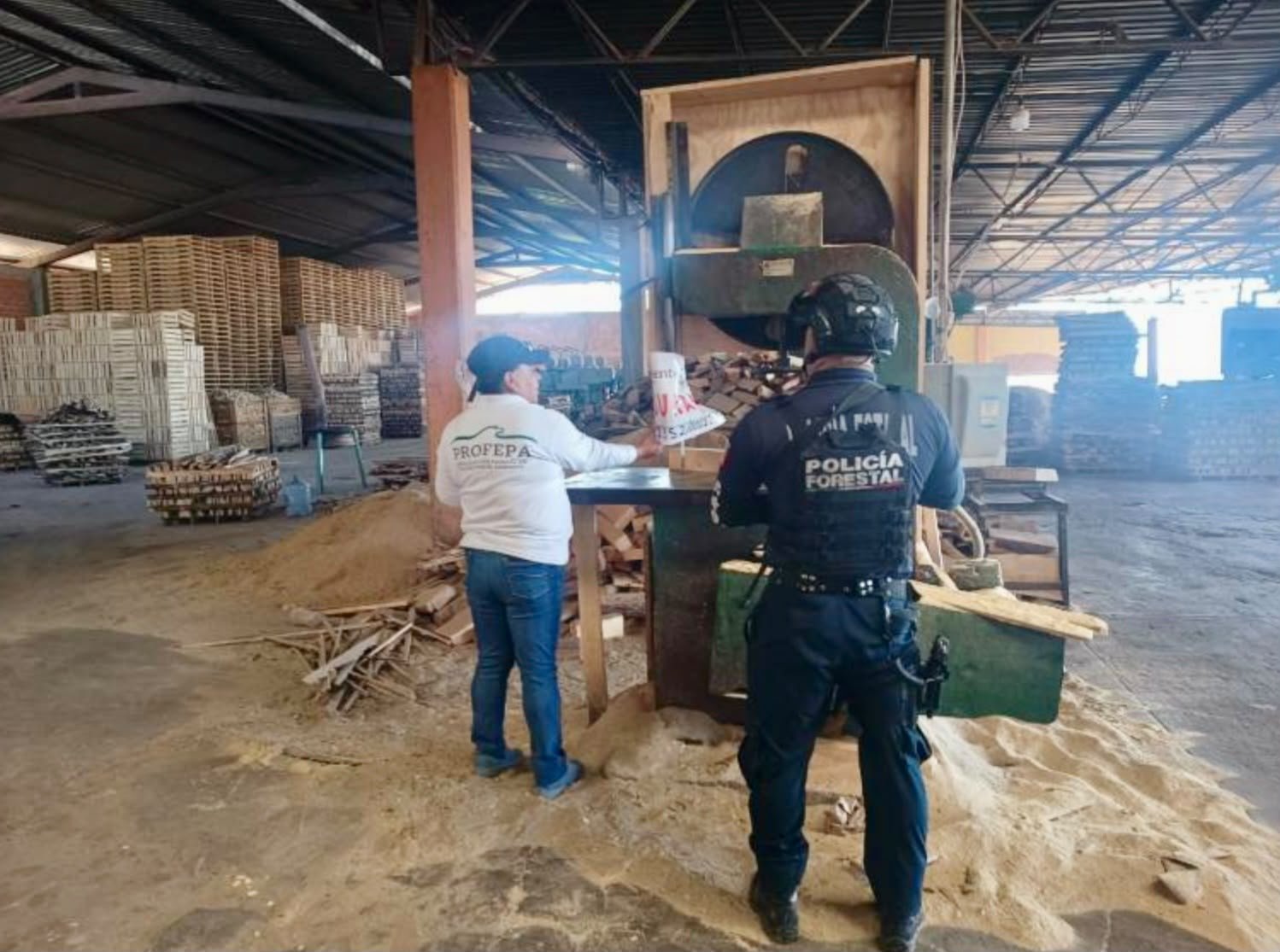 Clausuran aserraderos en Puebla por operar con madera ilegal