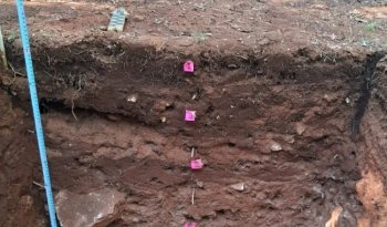 Antiguos mayas aprovecharon pendientes naturales para agricultura en Tramo 3