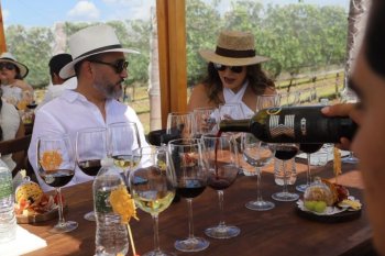 Guanajuato, segundo estado más premiado de México y obtiene Mejor Vino Mexicano