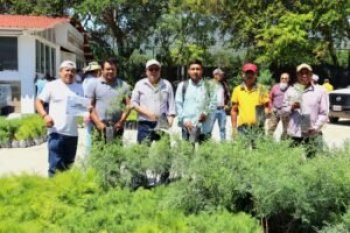 SEMAREN entrega 62 mil plantas forestales en Guerrero para fortalecer reforestación