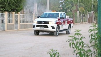 Arranca en BCS fumigación contra el mosco transmisor de dengue, zika y chikungunya