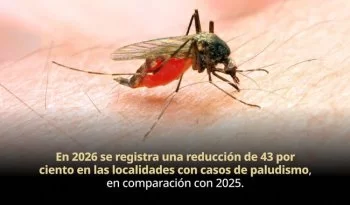 Cenaprece refuerza control del paludismo en Chiapas para eliminarlo antes de 2030