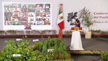 Maru Campos participa en presentación de Jornada Nacional de Reforestación 2026