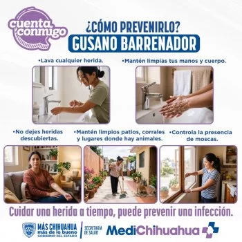 Secretaría de Salud exhorta a reforzar prevención contra el Gusano Barrenador en Chihuahua