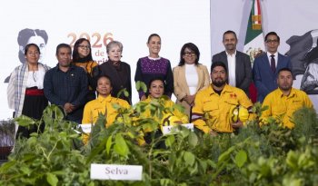 Sheinbaum anuncia Jornada Nacional de Reforestación 2026 con meta de 6.6 millones de árboles