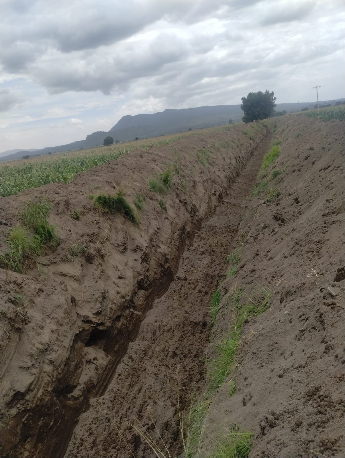 Rehabilitan barranca Xaltenco en San Nicolás Buenos Aires para prevenir inundaciones