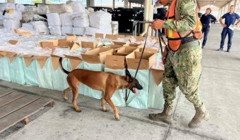 Aseguran 9 millones 948 mil cigarrillos apócrifos en Aduana de Lázaro Cárdenas