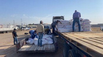 Entrega SDR 18 toneladas de maíz rolado a ganaderos de Juárez