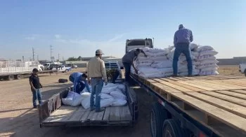Entrega SDR 18 toneladas de maíz rolado a ganaderos de Juárez
