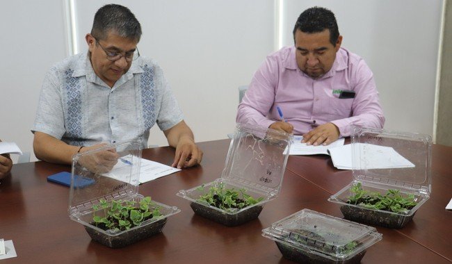 INIFAP e Inbright firman convenio para impulsar innovación agrícola en México